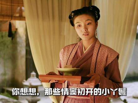 原来小说里的长柏如此妙趣横生 知否知否应是绿肥红瘦