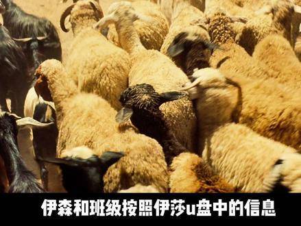 碟中谍05高能名场面：丽贝卡持狙登场，气场全开