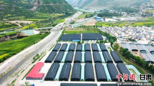 图为漳县三岔镇食用菌产业园。汪泽福 摄