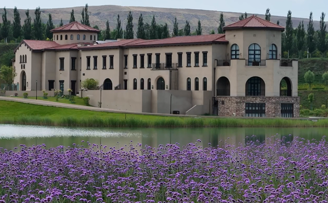 准格尔在矿山上种出果园、酿出葡萄酒，图为力量煤业的生态庄园。 力量煤业 供图