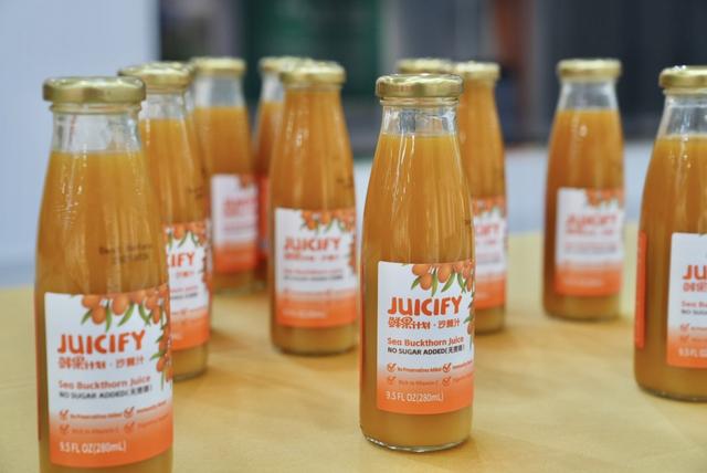 畅销海内外的沙棘汁，原料大都来自准格尔当地盛产的野生沙棘。澎湃新闻记者 王洛伊 图