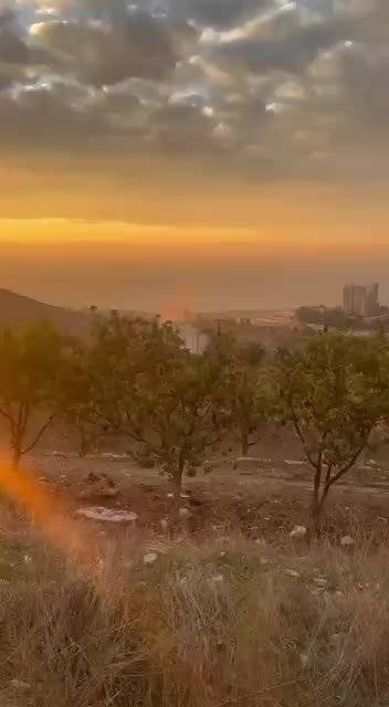 以色列无人机袭击黎巴嫩南部卡车致1人死亡