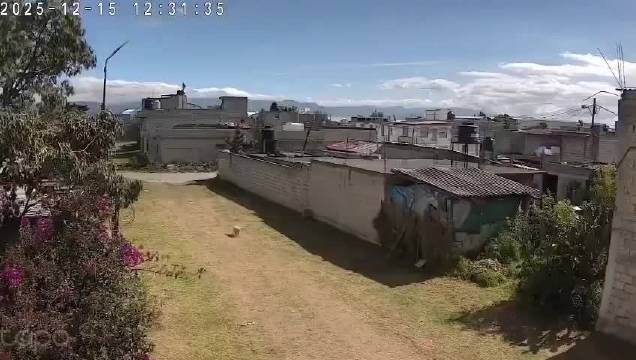 塞斯纳飞机墨西哥坠毁致10人遇难，事发时正尝试复飞