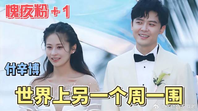 付辛博周一围同是天涯沦落人，没想到这么小众的赛道也能撞！
