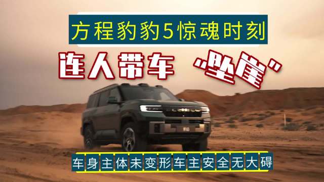 方程豹滚落悬崖惊险时刻，硬核的豹5关键时刻救车主一命