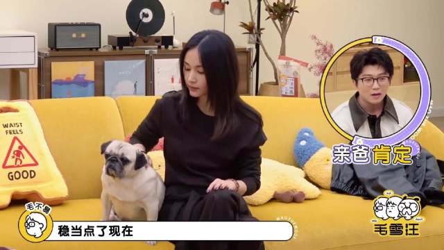 王子文骑马太帅了，下秒放出视频，李雪琴都被帅晕！丨毛雪汪