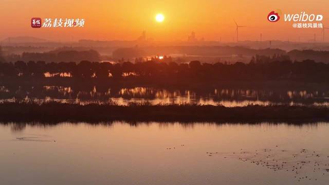 江苏长荡湖迎候鸟迁徙季，青头潜鸭等极危物种栖息