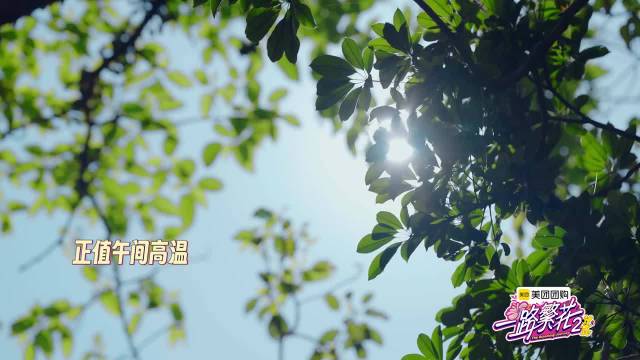 刘嘉玲何赛飞将合作出演话剧