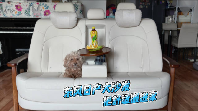 东风日产N6同款后排大沙发搬进家，女儿爱睡宠物不惧