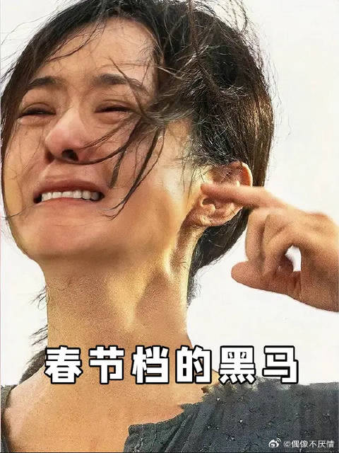 没想到罗翔老师提到的“粪坑案”，被张艺谋拍成了《第二十条》？