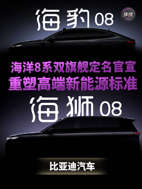 比亚迪海洋8系双旗舰定名官宣！、引领高端出行新潮流
