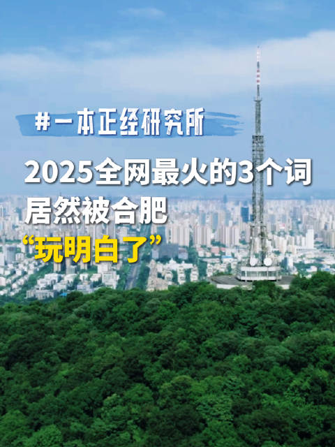 一本正经研究所｜2025全网最火的3个词居然被合肥“玩明白了”