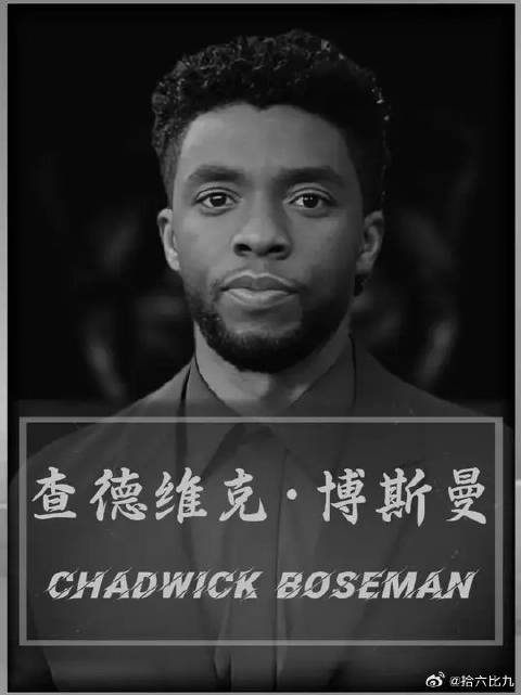 死亡不是终点，遗忘才是“瓦坎达万岁”