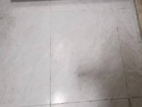 黄渤新片饰演严父逼娃练琴，外星熊猫助孩子反抗