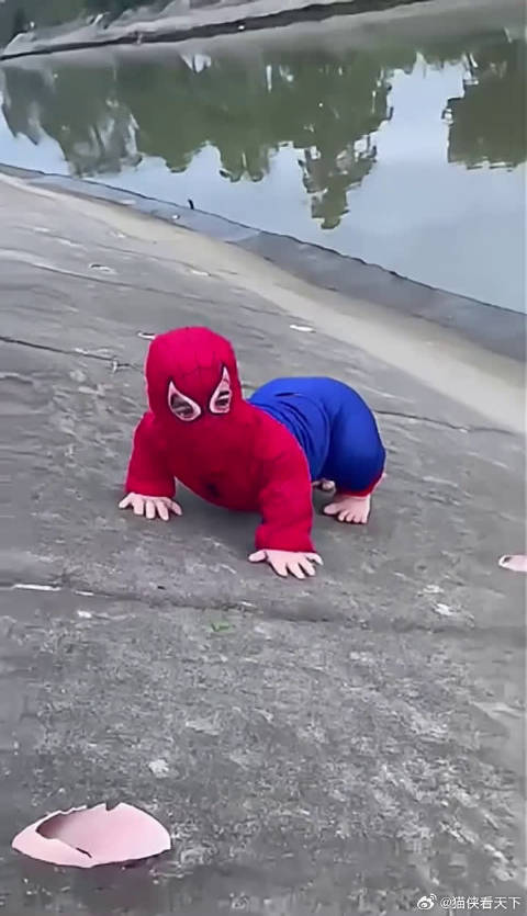 当你发现一个野生蜘蛛侠时