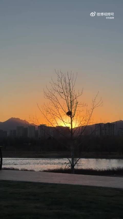 刘浩存晒古早味vlog，夕阳风筝鹦鹉引回忆