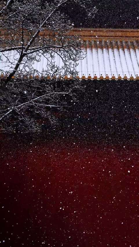 李雾谈缘分计量论，中年感悟随风而安