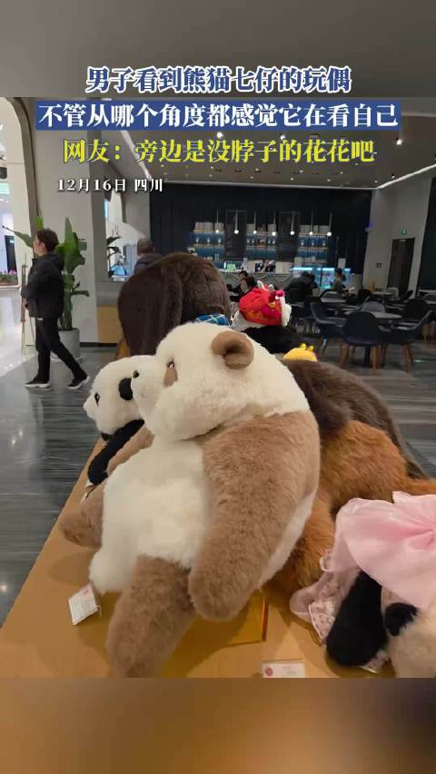 男子看到熊猫七仔的玩偶，不管从哪个角度都感觉它在看自己！