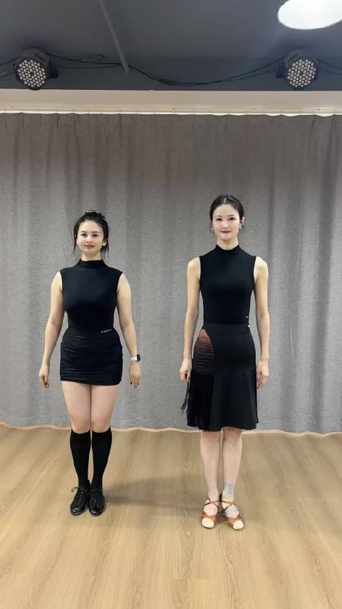 桑巴太累，学不太会，跳得太苦，来场可爱的海豹舞