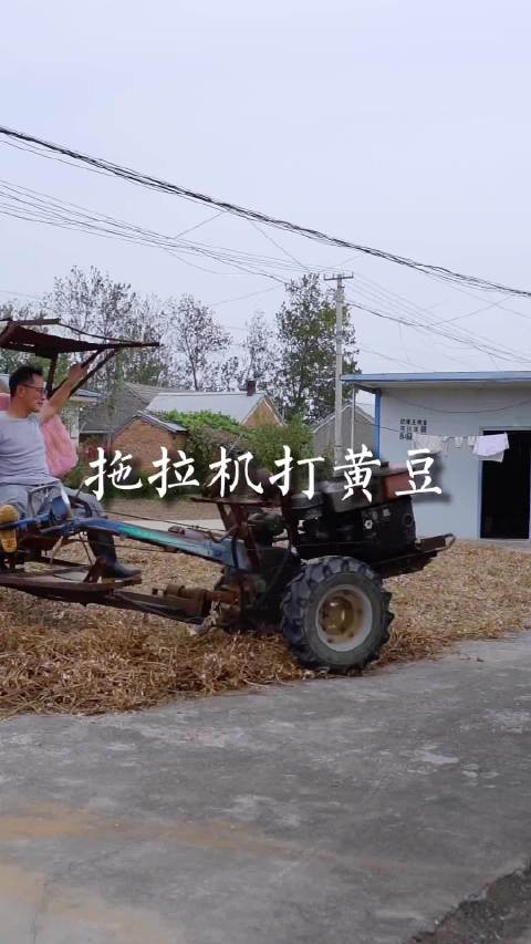 拖拉机打黄豆 手扶拖拉机啥都能干