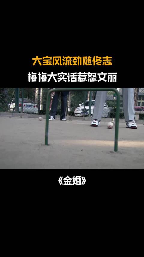 金婚：大宝风流劲随佟志，梅梅看穿区别，大实话戳文丽心窝子