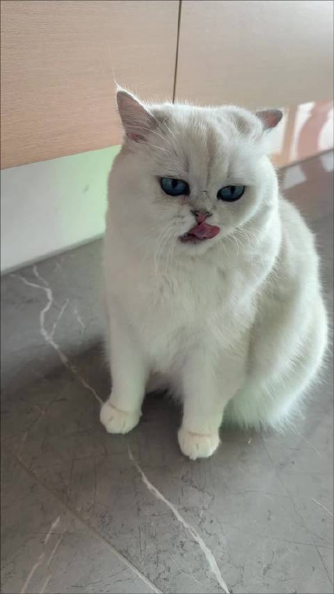 晚晚：我要为Ta 发声 ！