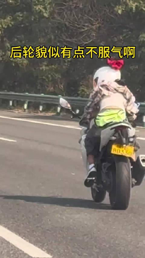 这后减震看着比司机还忙活