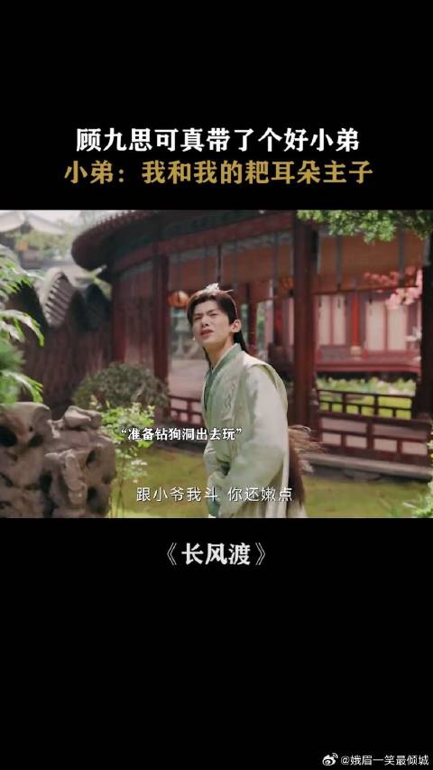 将怂怂一窝，小弟都看不下去了