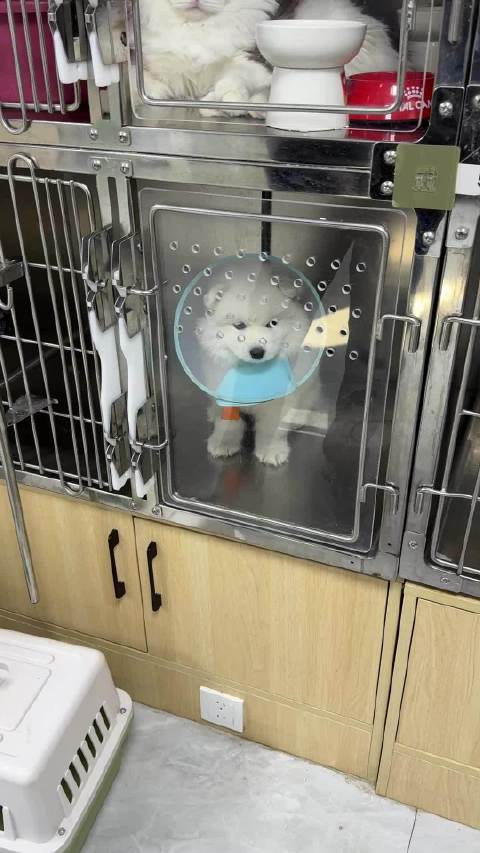 揽胜宝宝 希望你可以永远健康平安快乐 快点好起来