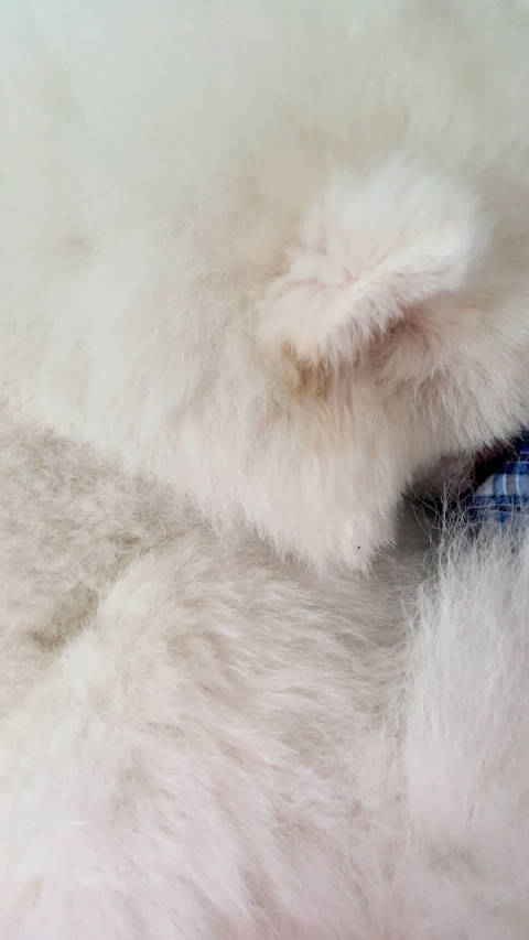 睡觉还在开摩托 辛苦我宝宝了