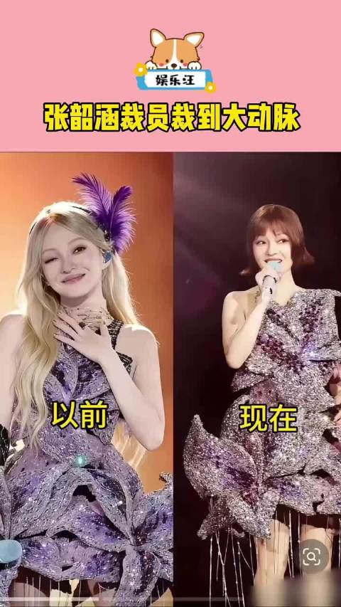 张韶涵演唱会 张韶涵裁员裁到大动脉了吧！