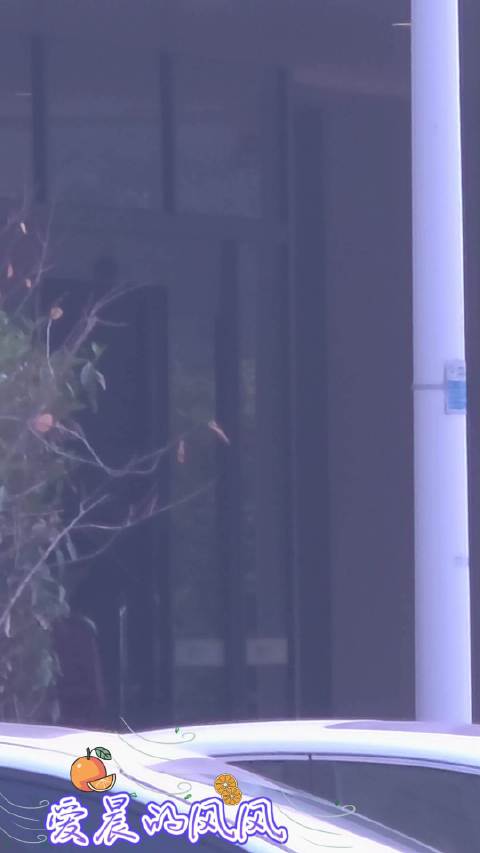 金晨抵达上海激动喊话老公，现场送信引粉丝欢呼