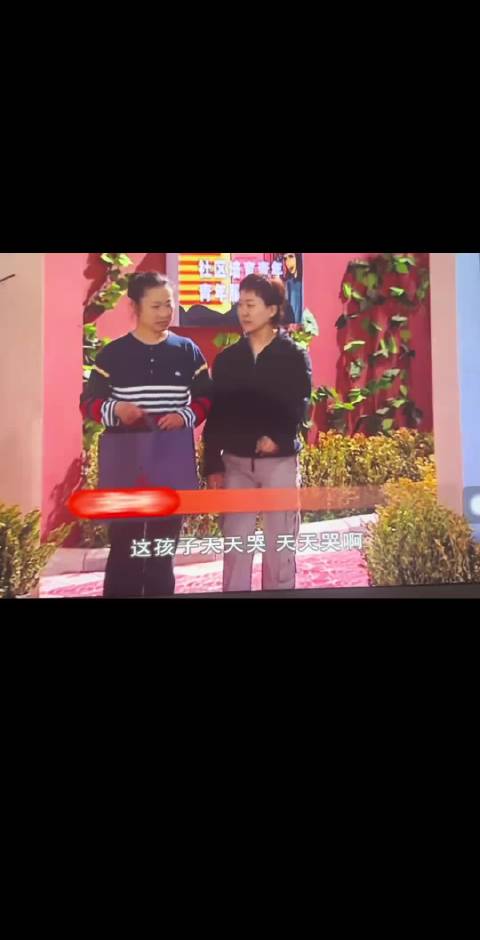 原来家有儿女里面有我岳母大人啊