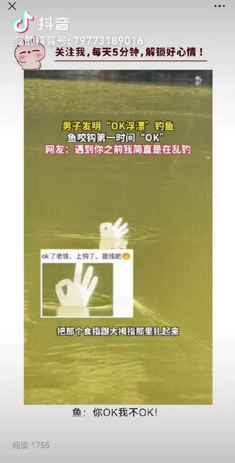 终于终于终于钓到鱼，原来人工智能海王都是这样