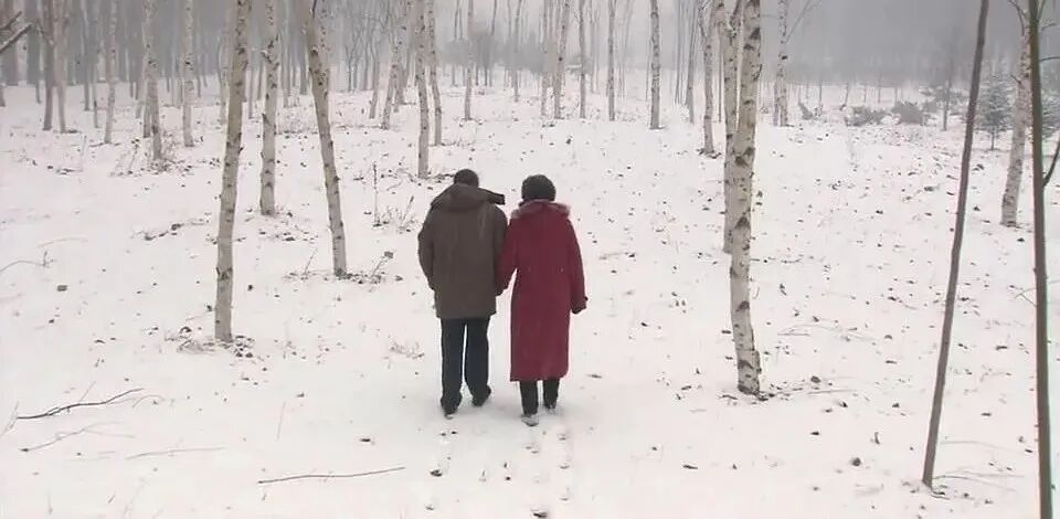 18年前的国产剧巅峰，最近被骂惨了