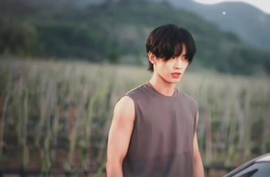 原来双轨是all朝 靳朝和三赖之间是救赎文学 虞书欣 何与 双轨