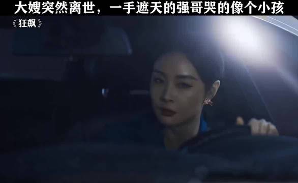 狂飙:强哥天不怕地不怕，唯独怕失去大嫂 张颂文 张译 李一桐 高叶 贾冰 吴刚