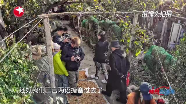 东北三姐妹瞒父母30天爆改老房遇母亲归家
