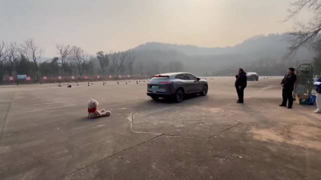 虎哥卖车的作品