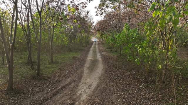 拉力赛车手自述撞车瞬间，操控胆量判断缺一不可