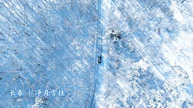 长春·净月雪挂