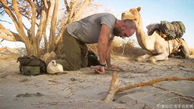 这些有寄生虫的水果，一定要清洗干净食用！