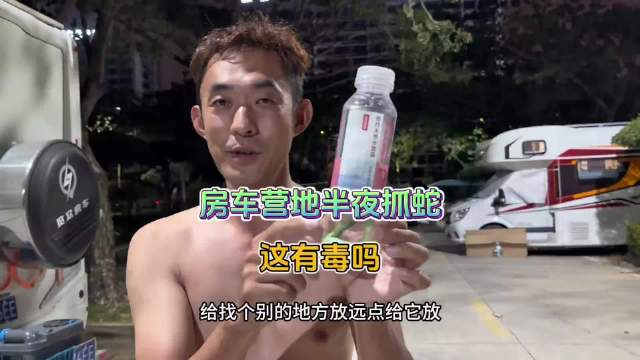 房车营地半夜遇见霹雳辣条，车友建议将其转移至安全区域辣条