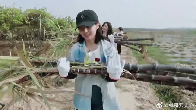 谭松韵张子枫搬甘蔗，手臂酸到不行，看着都沉！