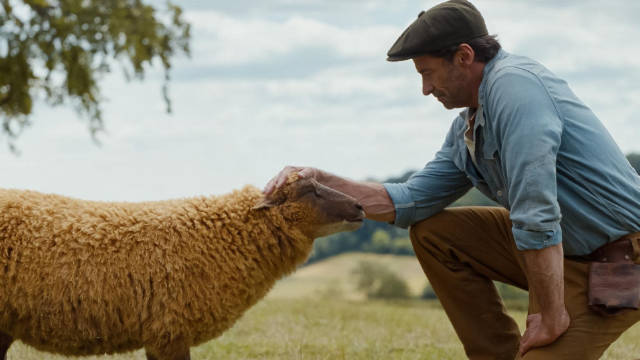 休·杰克曼主演《绵羊侦探团》发预告，2026年5月8日北美上映