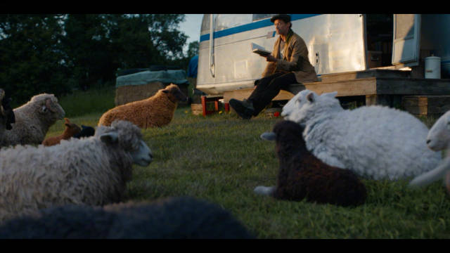 休·杰克曼新片《绵羊侦探团》发预告，绵羊破牧场谜案2026年上映