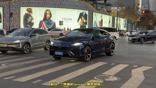 兰博基尼Urus与奥迪R8现身黄鹤楼庆生，豪车阵容引围观