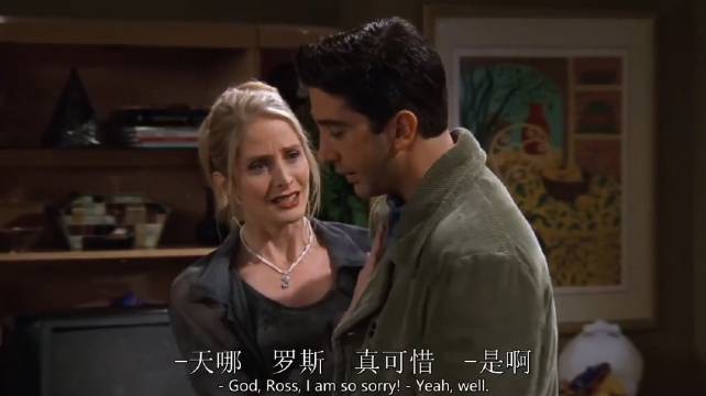 卡罗尔：你跟别的女人上床了？小气罗斯！