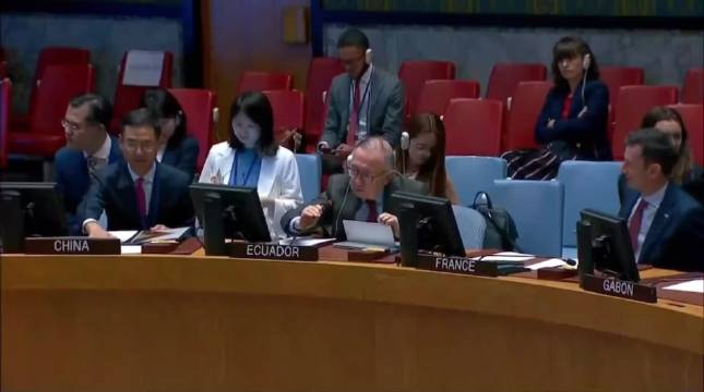 新日初升万物苏醒早安！ 愿您与这世间所有的美好不期而遇…… 