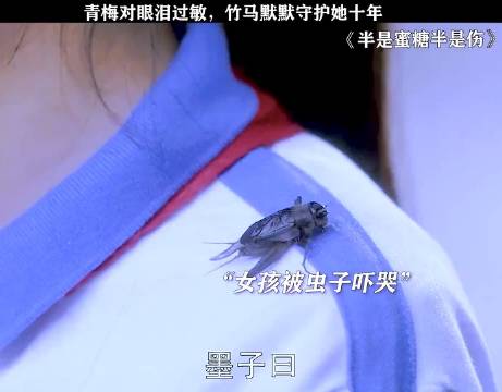 青梅对眼泪过敏，竹马默默守护她十年